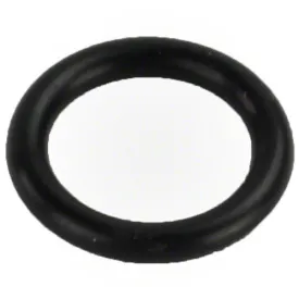 Pentair O-Ring U9-359